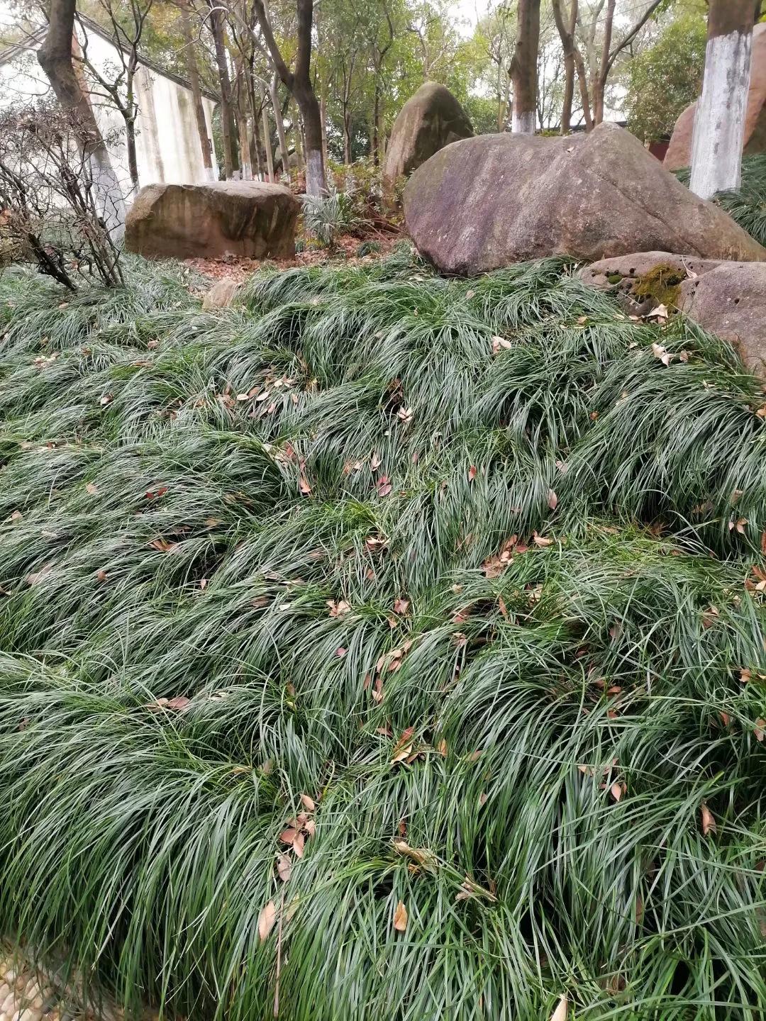 钱塘江潮汛故事,钱塘江神秘事件真实原因