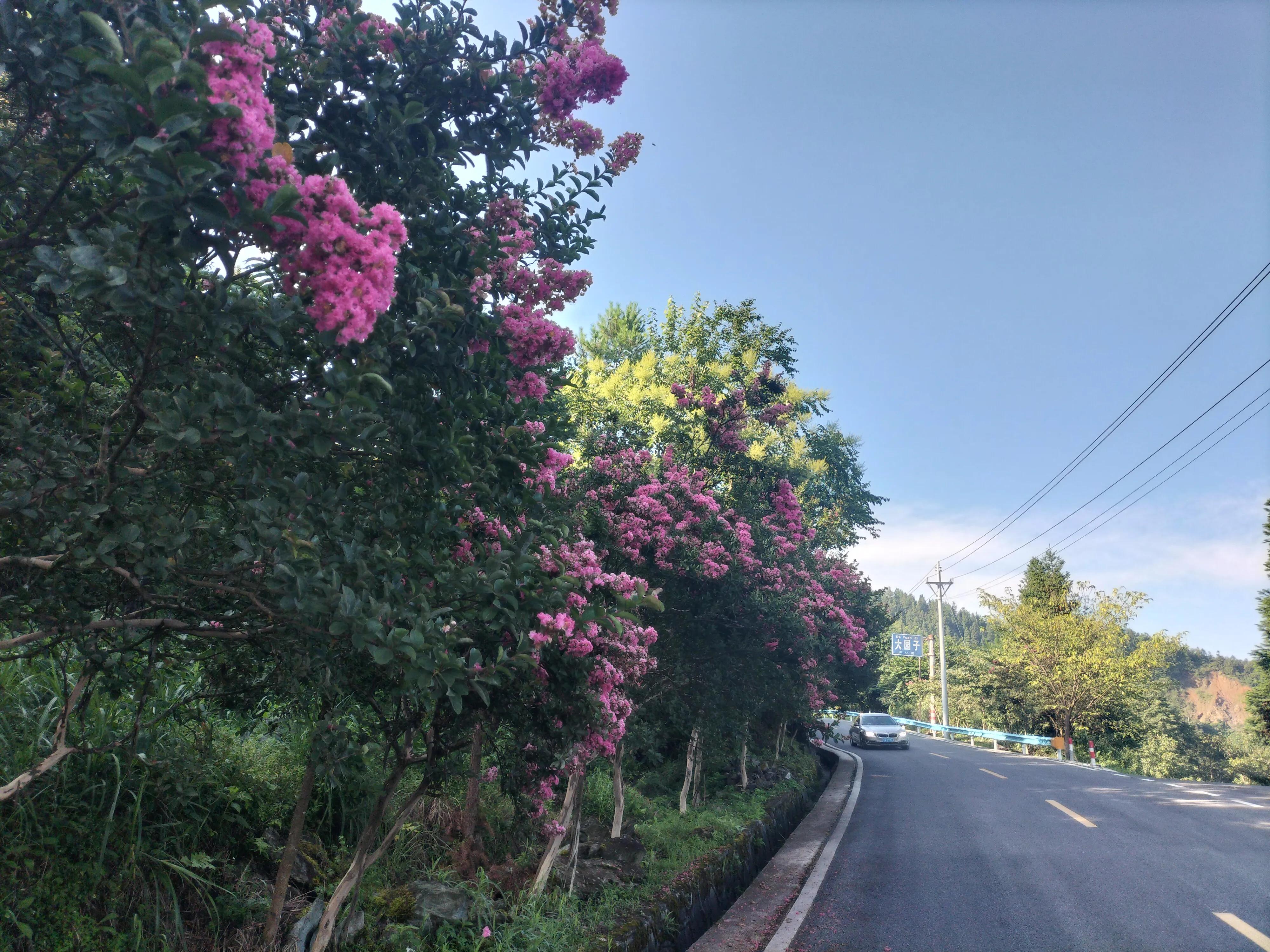 贵州的未来,贵州的未来有几个市