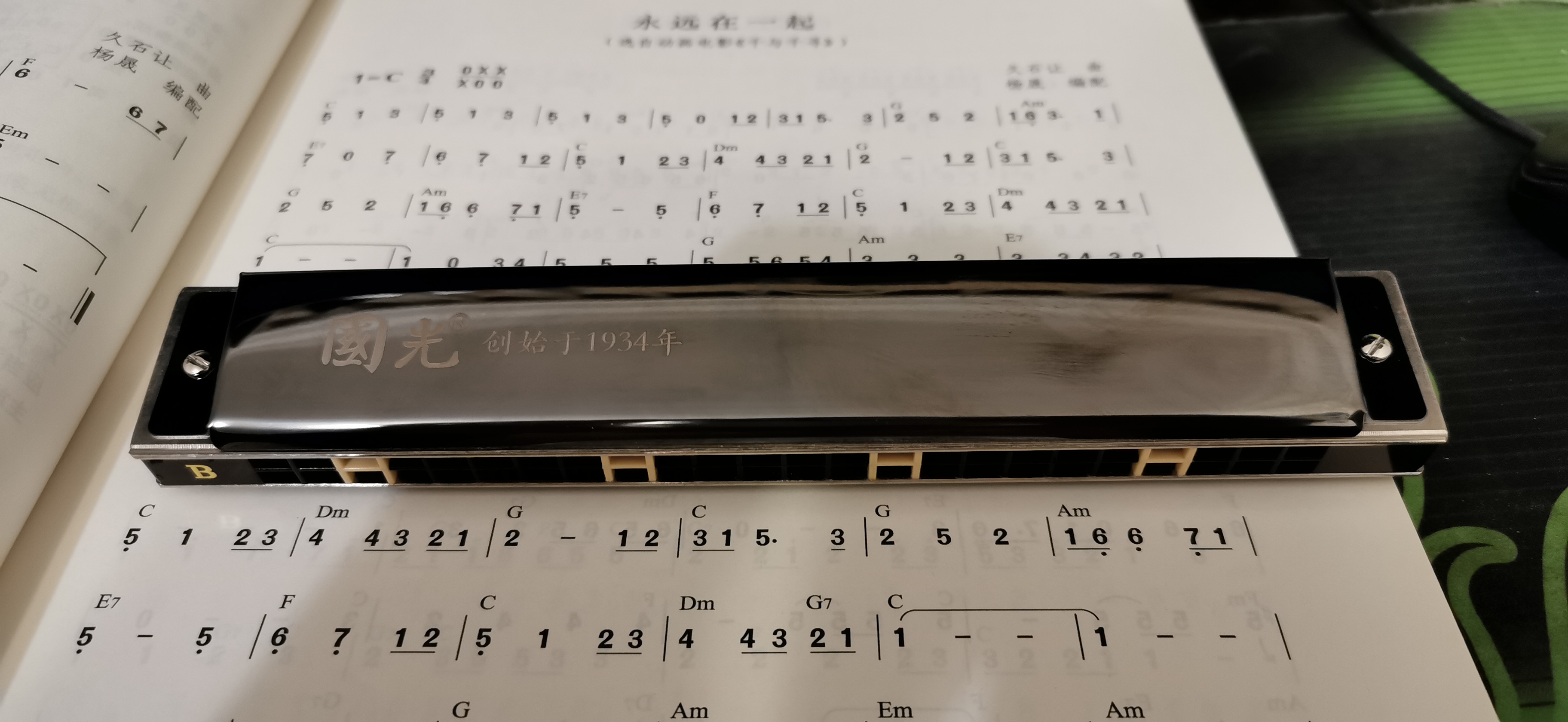 铃木金蝶口琴,铃木口琴