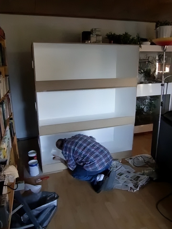 「原来欧洲有这么多种蛇？！」偷师卡塞尔的豢龙大师·下