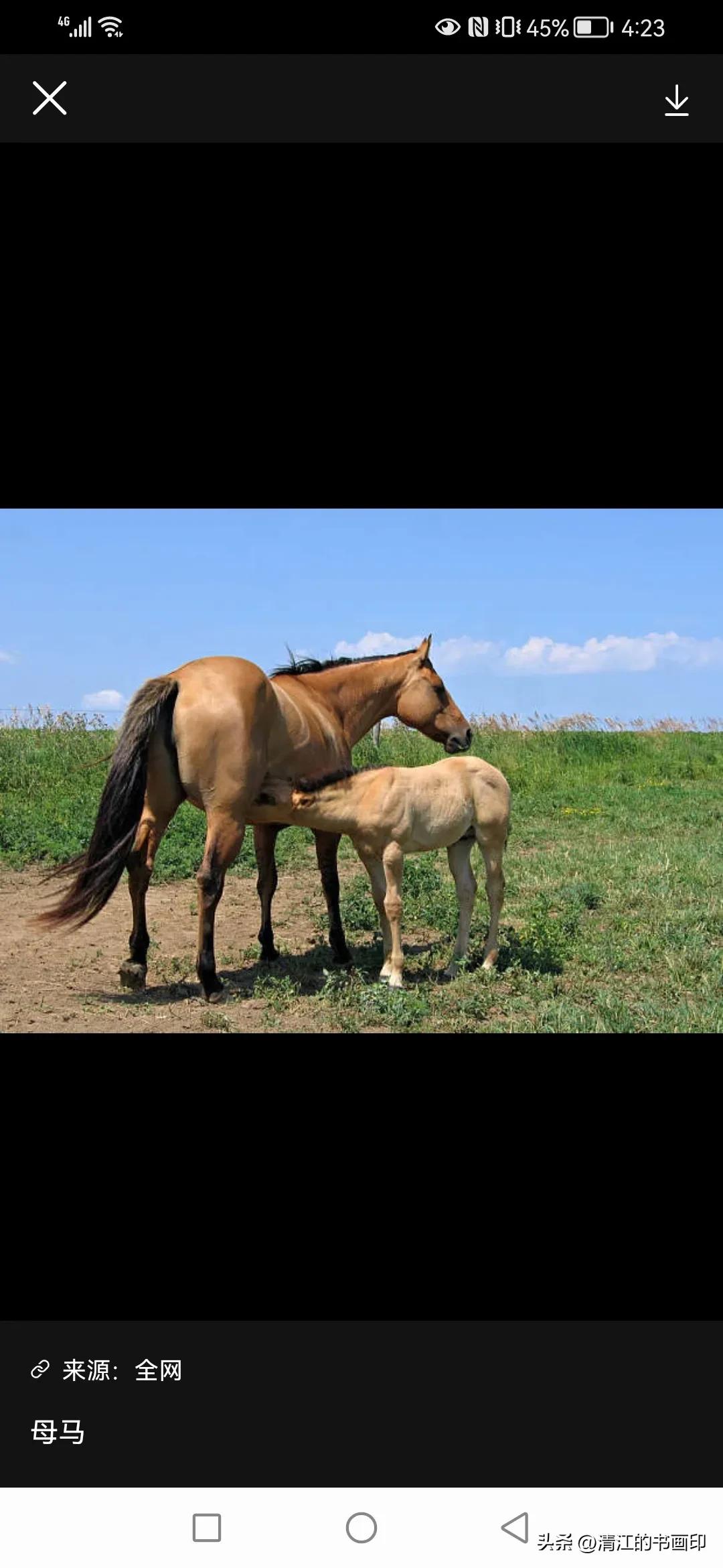 抄书聊斋故事：姓汪名可受，能解＂三世＂事