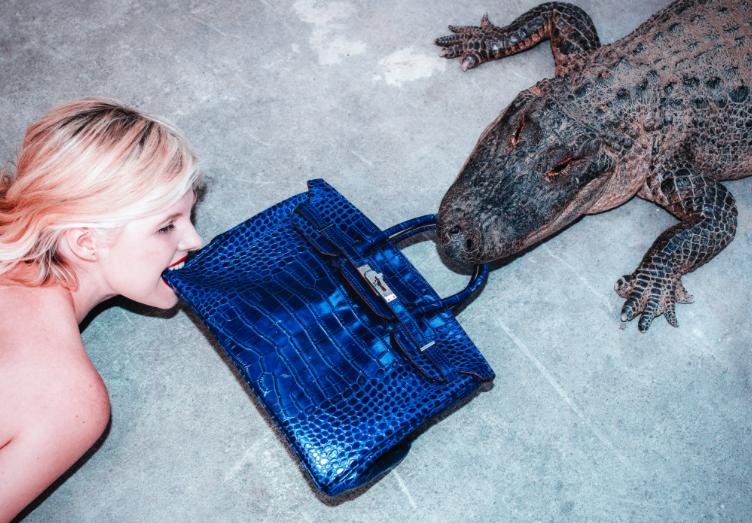 那些你不知道的小知识,鳄鱼皮的包是真的鳄鱼么