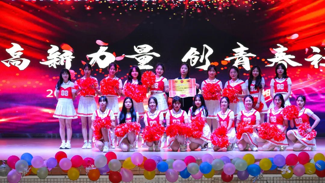 第十三届挑战杯创业论坛,第十三届挑战杯创新创业大赛铜奖