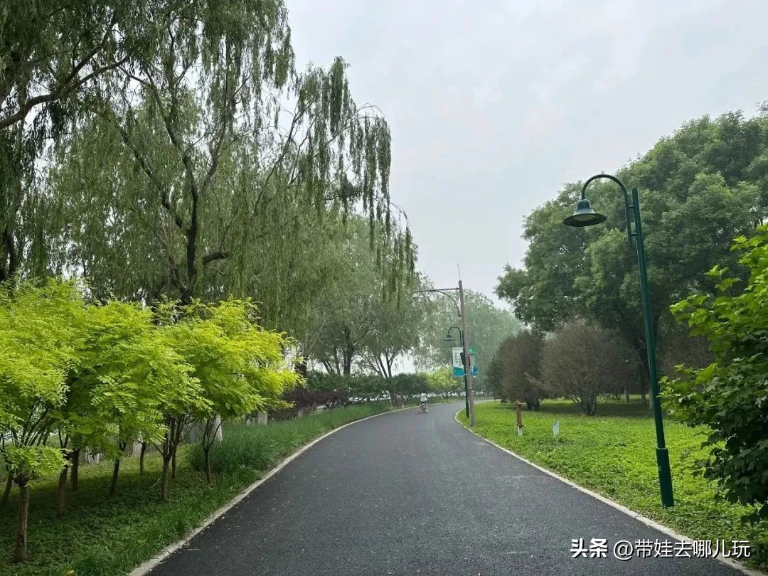 可搭帐篷公园,可以骑车搭帐篷的公园