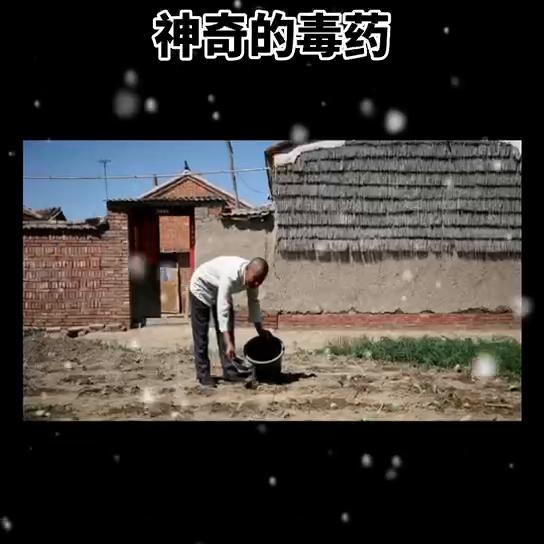 民间传说故事大全兄弟分家,民间传说故事大全诡异