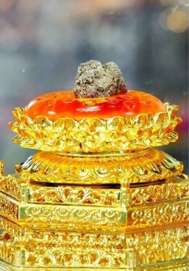 佛祖舍利子是怎么形成的,高僧留下的舍利子到底是什么