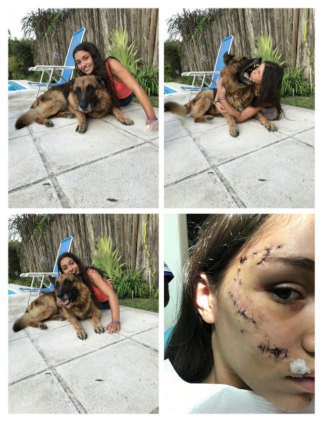 电鳗鳄鱼同归于尽,鳄鱼与电鳗同归于尽