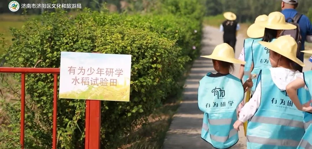 济南采摘园推荐最新,济南采摘园推荐秋季