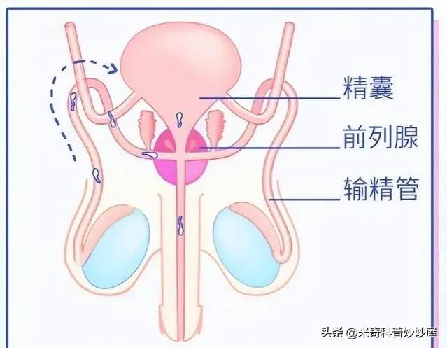 体力劳动能提高身体素质吗,男性体力活
