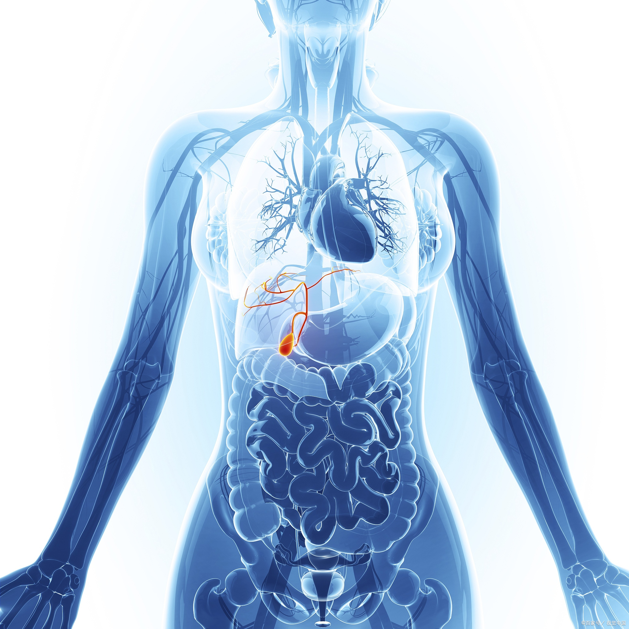 腰突坐直疼是怎么回事,腰突麻木变成疼痛是要恢复了吗