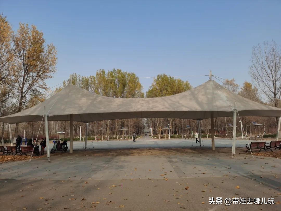 在森林公园里玩耍,中国可以骑行的森林公园