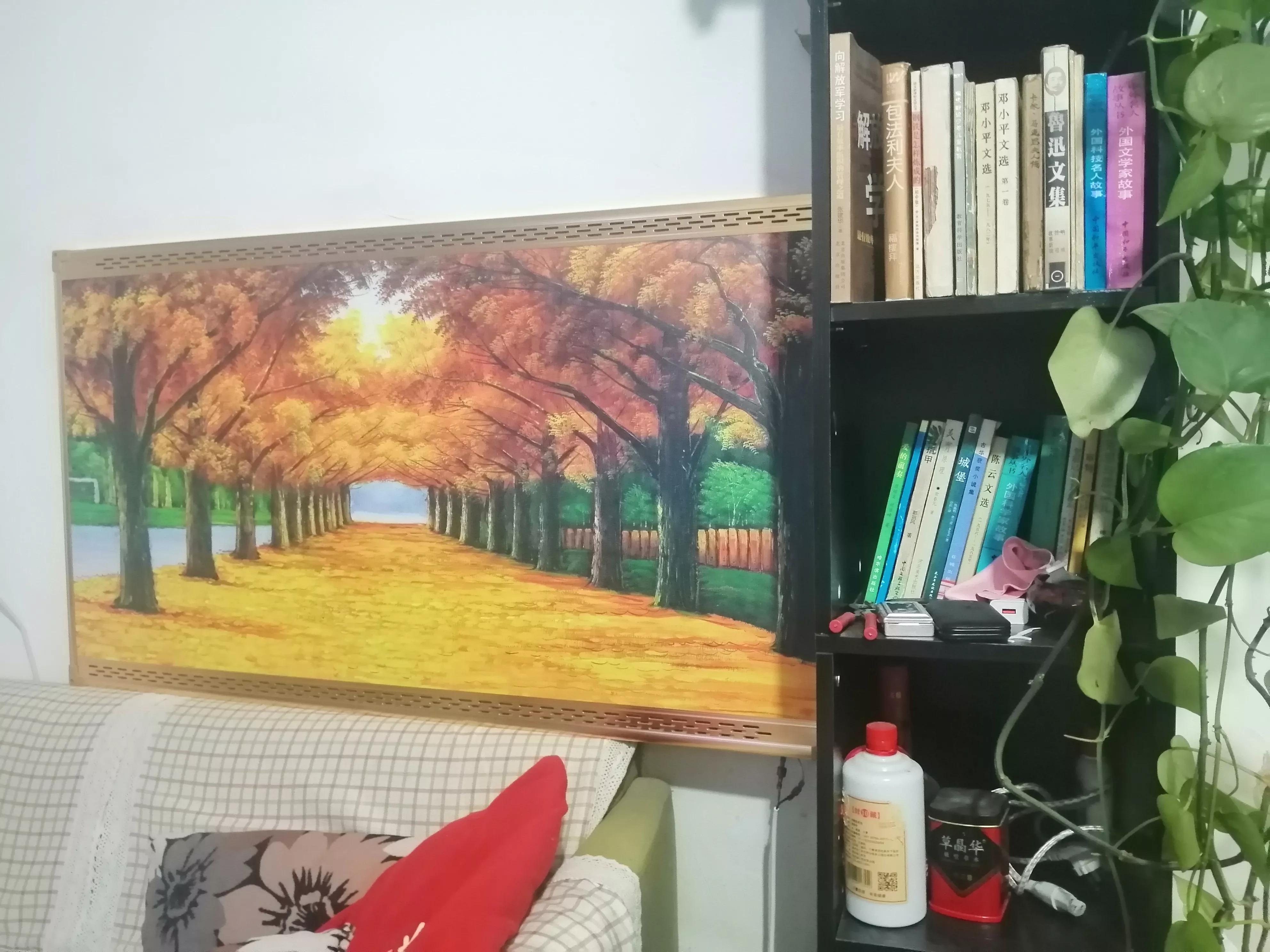 太阳能取暖阳光房,农村20平米的房子冬季取暖神器