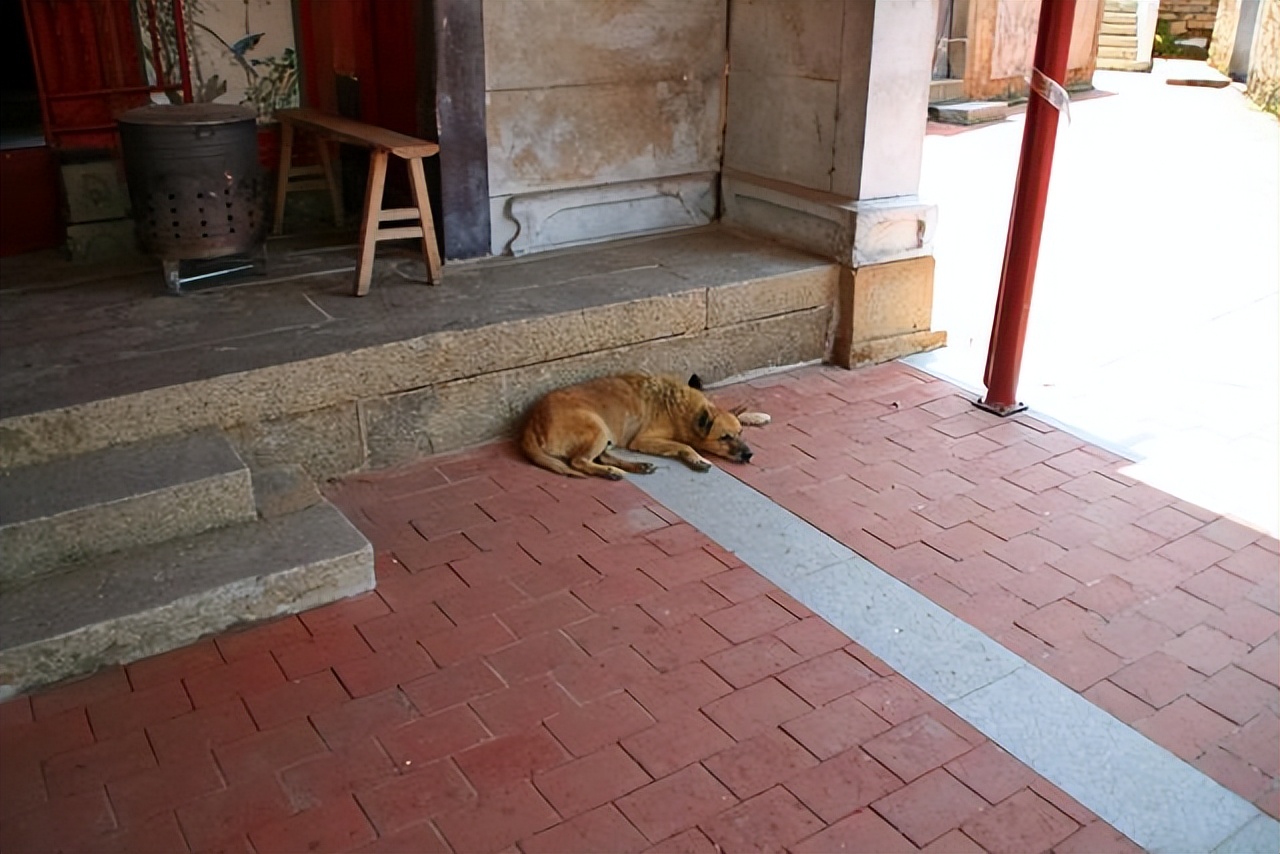 金门岛和厦门距离有多远,与金门岛隔海相望的地方