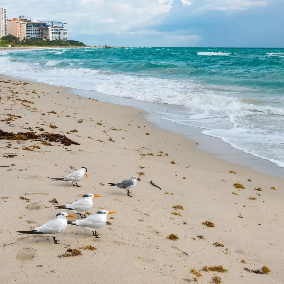 全球最漂亮的100个海岛,100座世界最美海岛