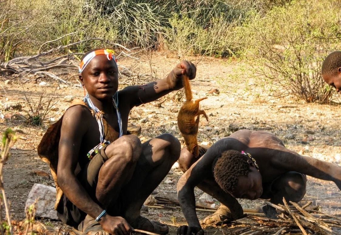 世界上最可怕的朊病毒,致死率在100%的病毒