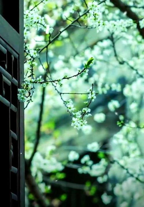 关于抒写春天的散文,散文欣赏关于春天的