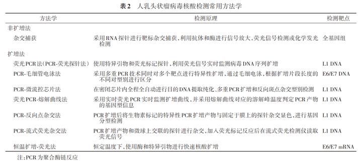 sanger测序仪评测,sanger测序仪