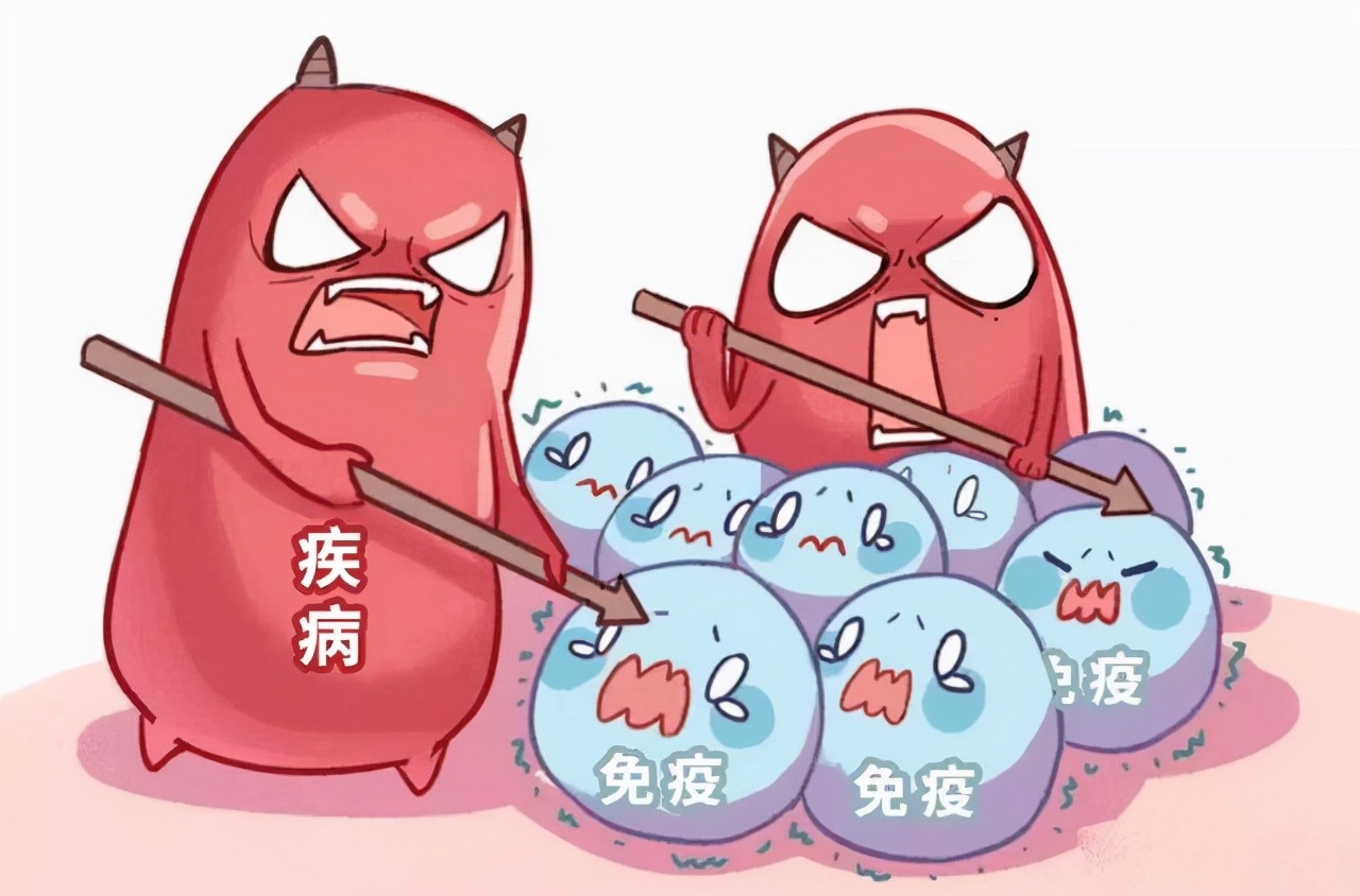 肽的作用是什么,小分子复合肽的功效与作用