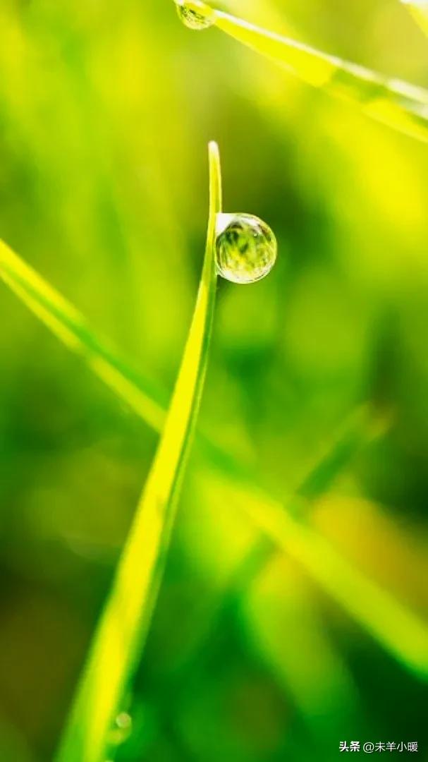 超清超美独一无二手机壁纸图片,养眼养心的壁纸