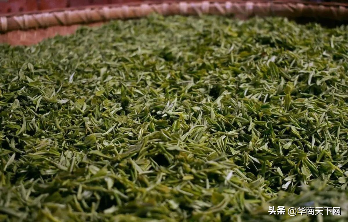 信阳毛尖事件央视,信阳毛尖事件头条