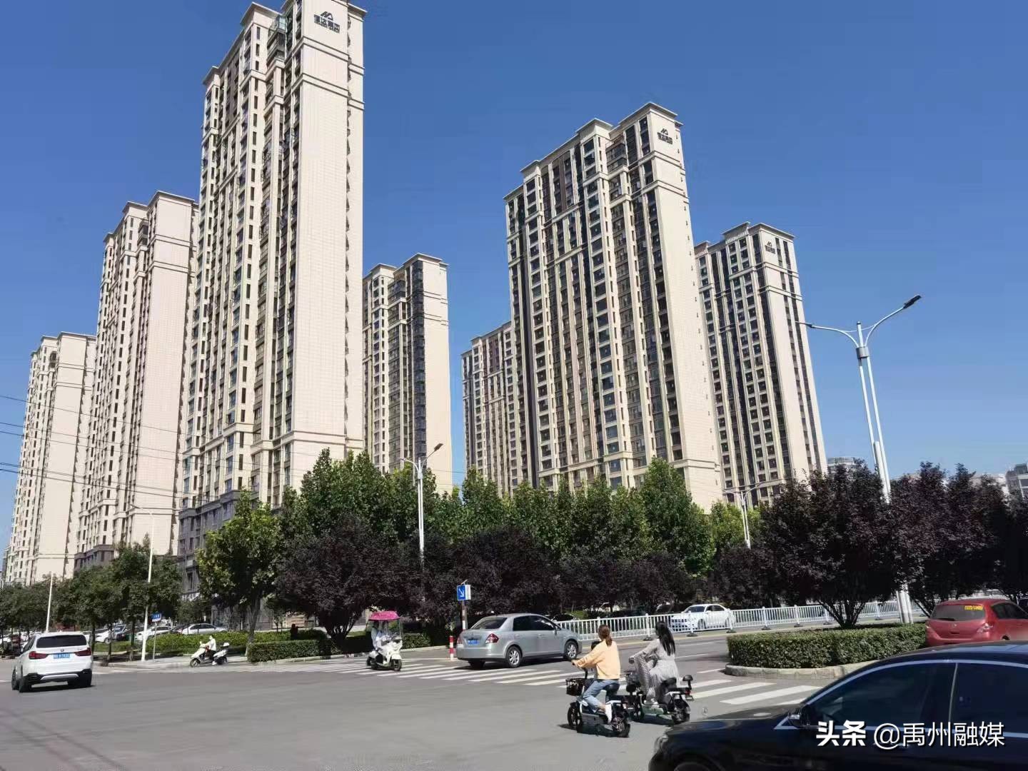 *志洪**敏：乡村振兴的擎旗兵