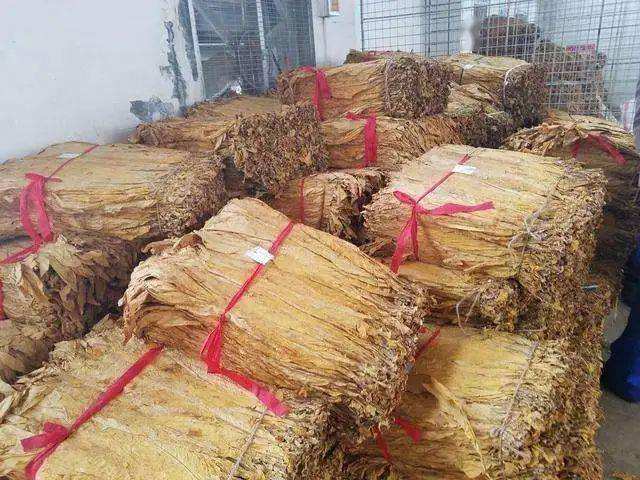 看看香烟是怎么流水生产的,香烟为什么还能生产