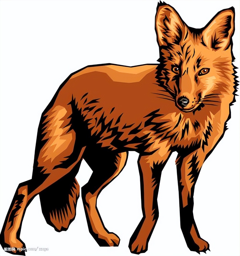 妖怪名单500集,妖怪名单第51集完整版