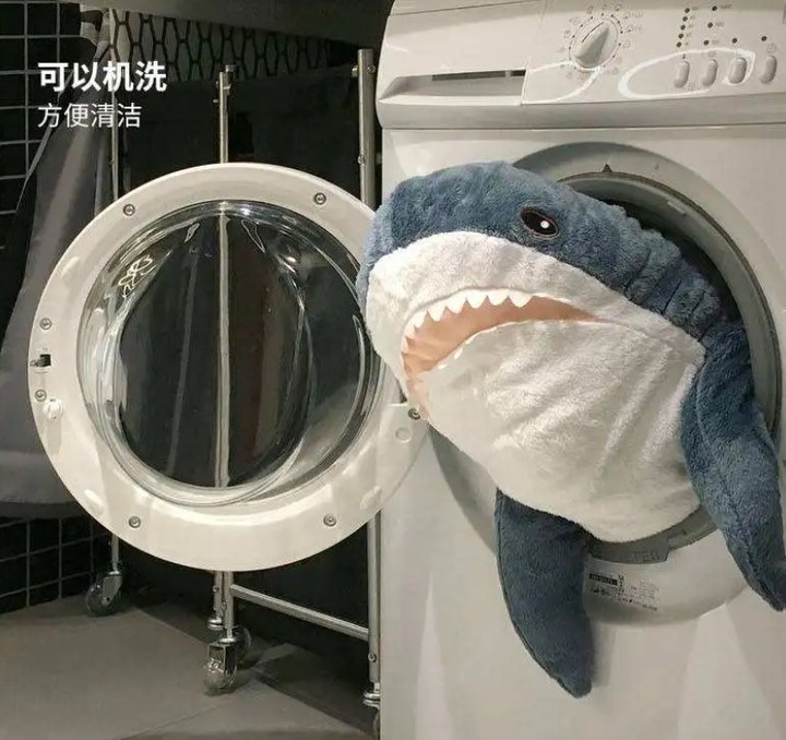 几十块的「雪糕刺客」让人心痛,几百块一只的毛绒玩具抢着买单