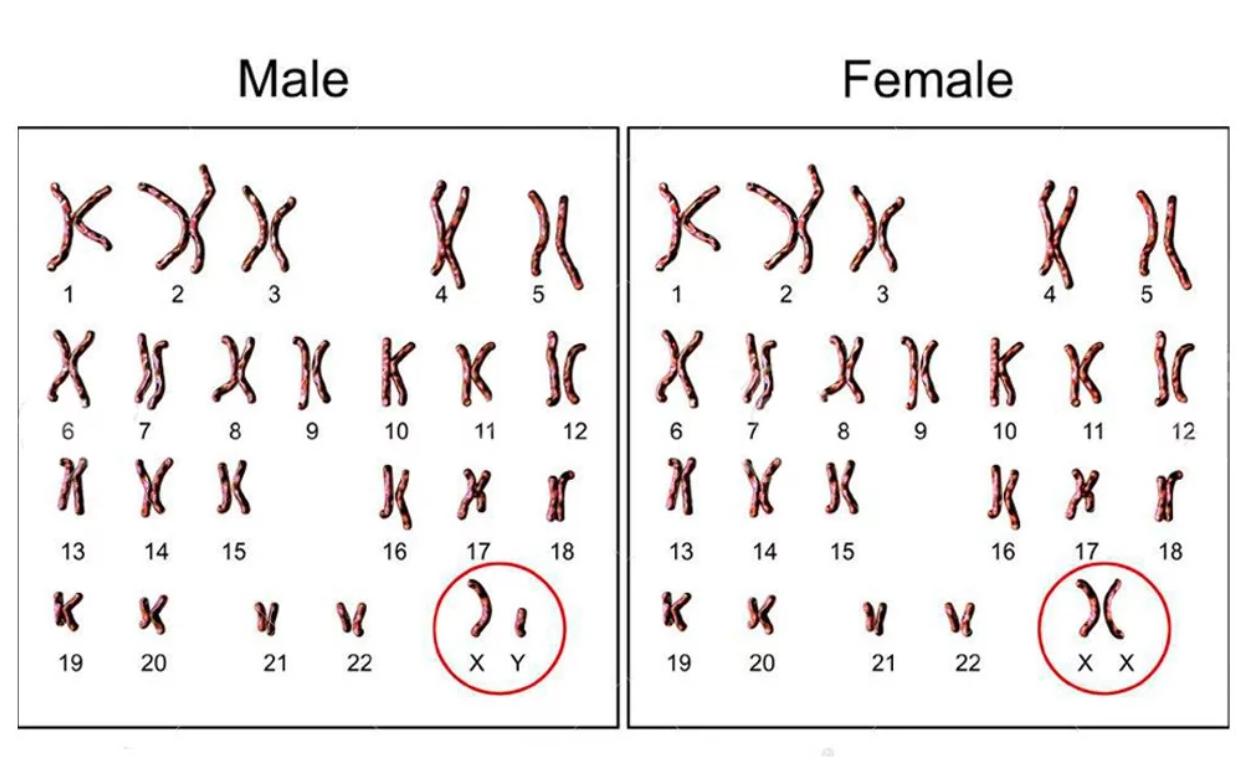 18岁女孩被告知是男孩,18岁女孩被查出是男的