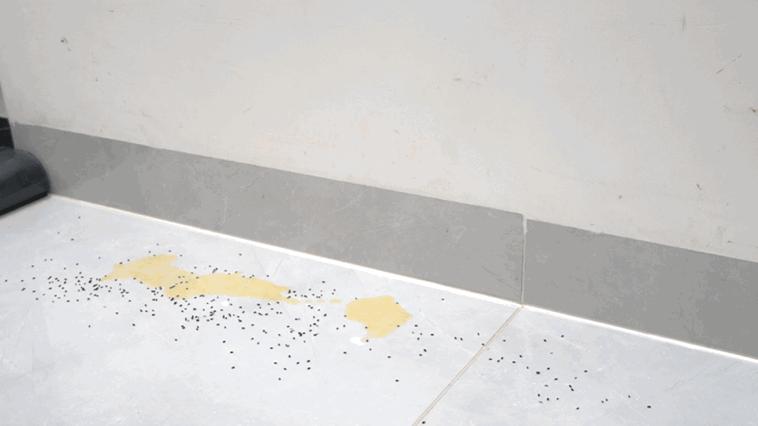 无滚筒洗地机米博,米博洗地机一机五用