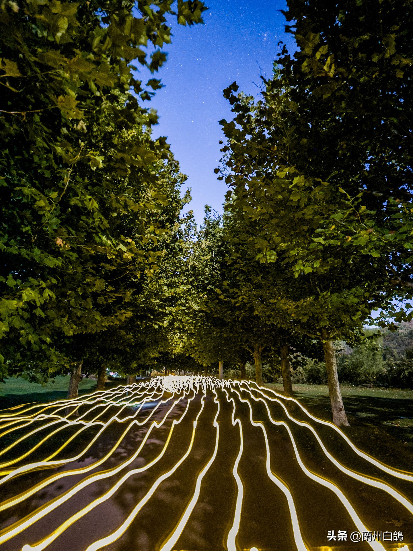 iphone14promax1tb暗紫色开箱测评,iphone14promax史低多少