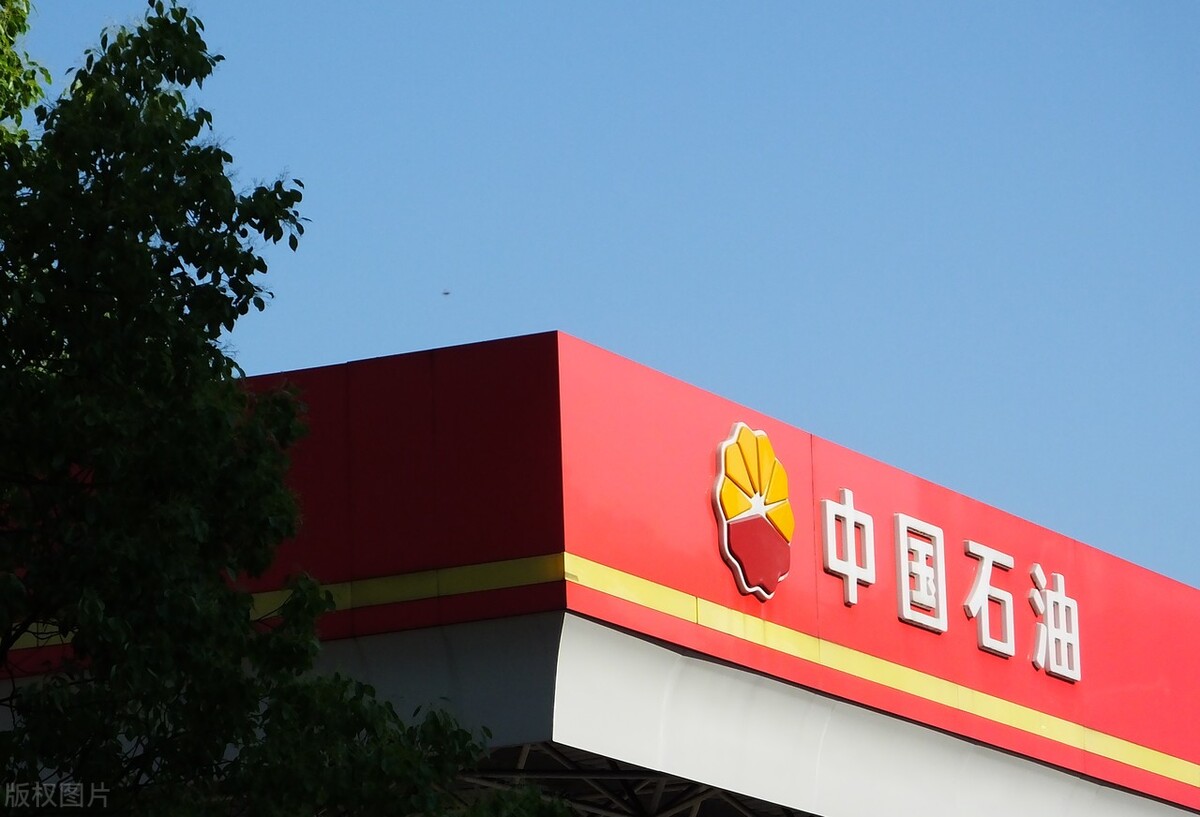 股票跌10个点加仓一倍,什么样的股票上涨概率大