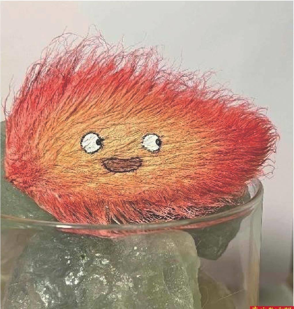 养芒果核不用吹风机行不行,养芒果核当宠物要晒多久