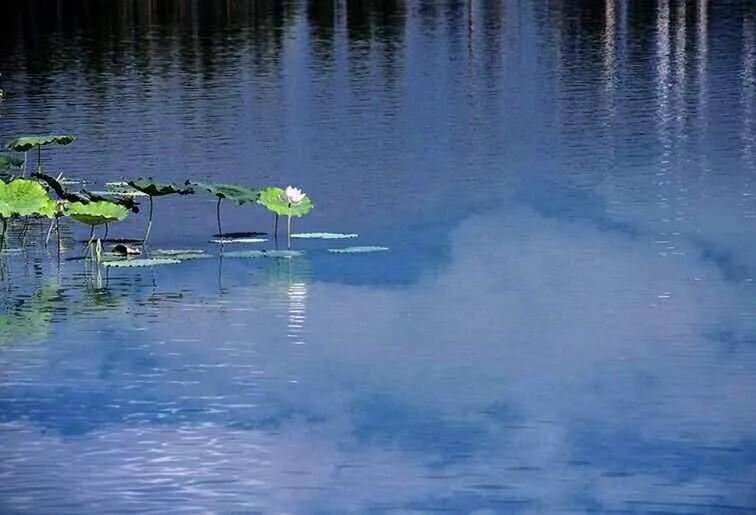 知福惜福造福才最有福,知福惜福造福就是幸福