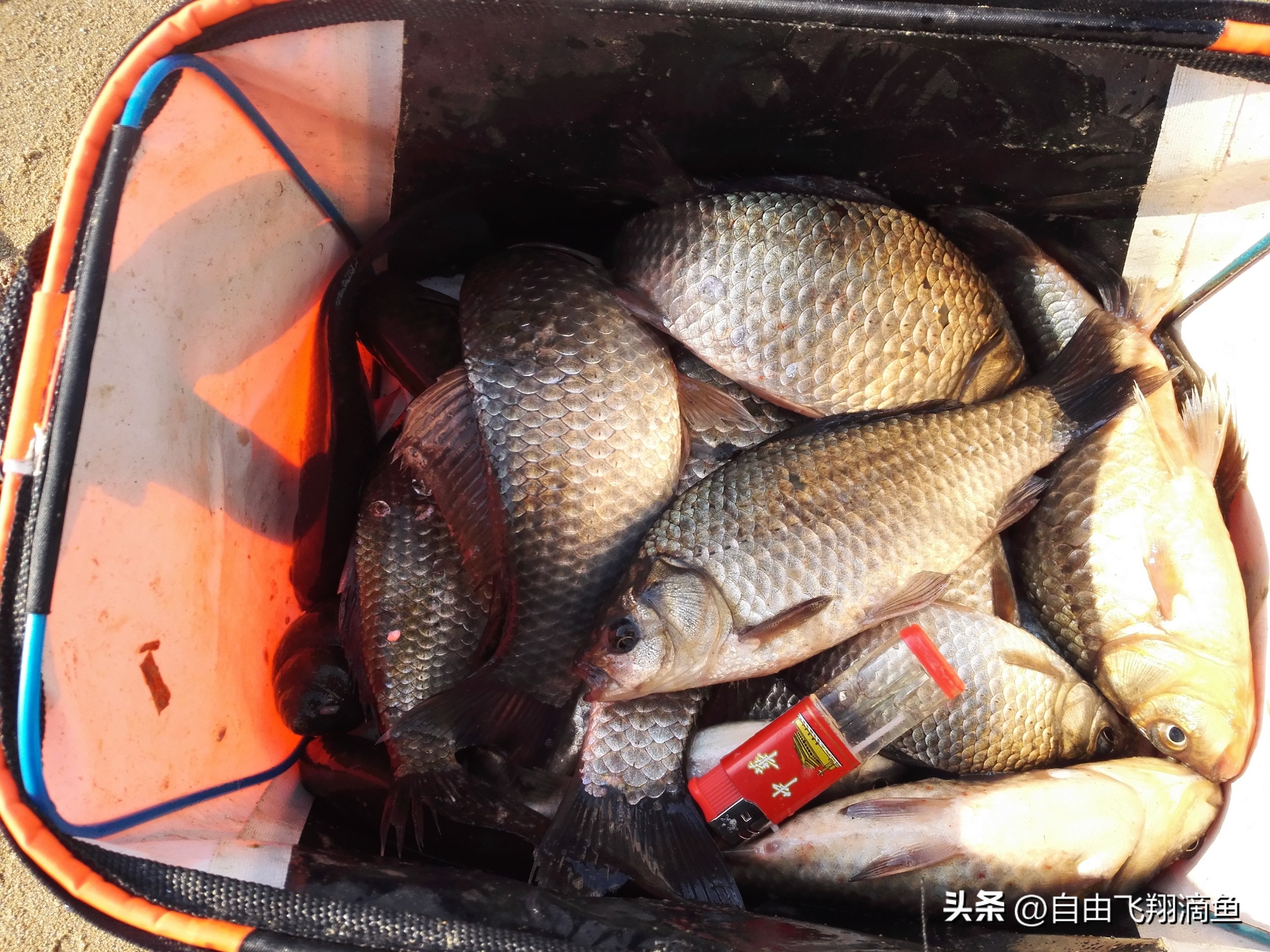 野钓爆护秘诀全揭秘,坠底跑铅钓法