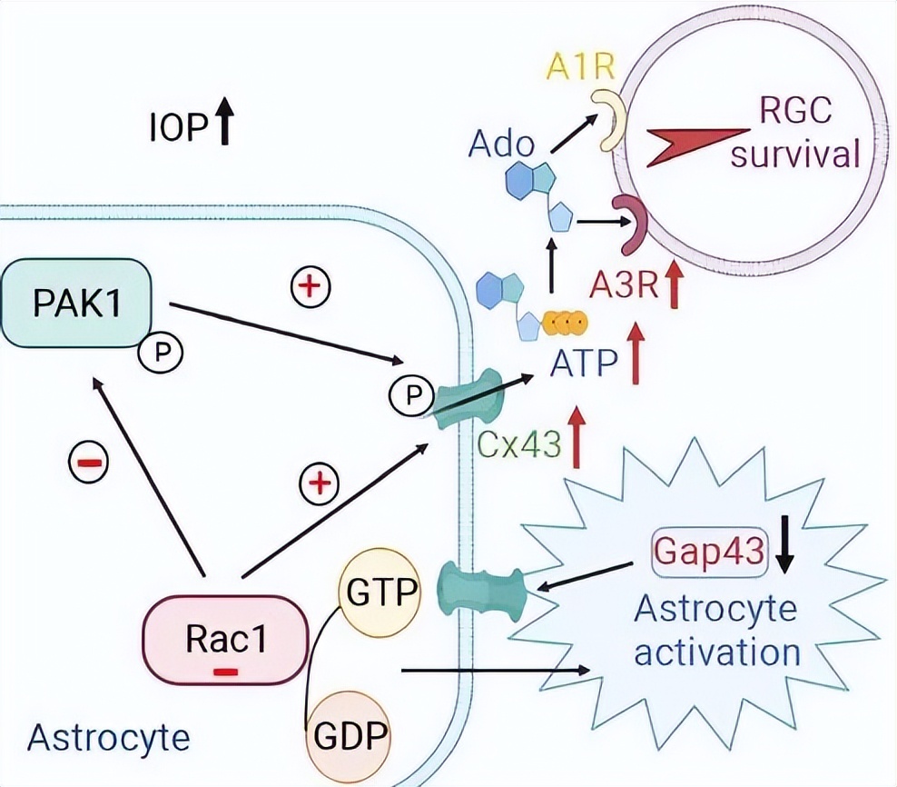复旦大学4月科研成果,复旦春季学期