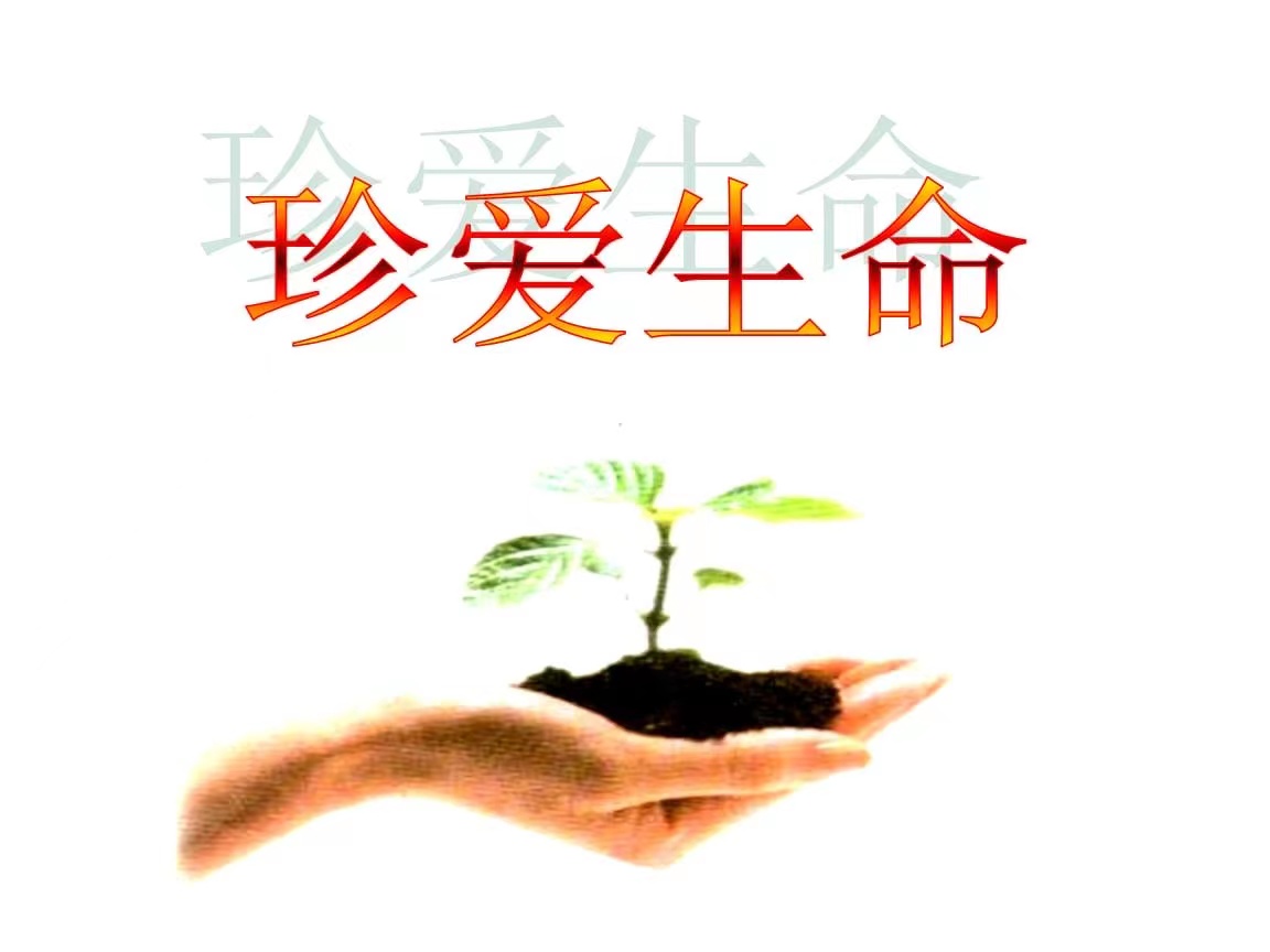 意外急救方法大全,意外事故如何保命