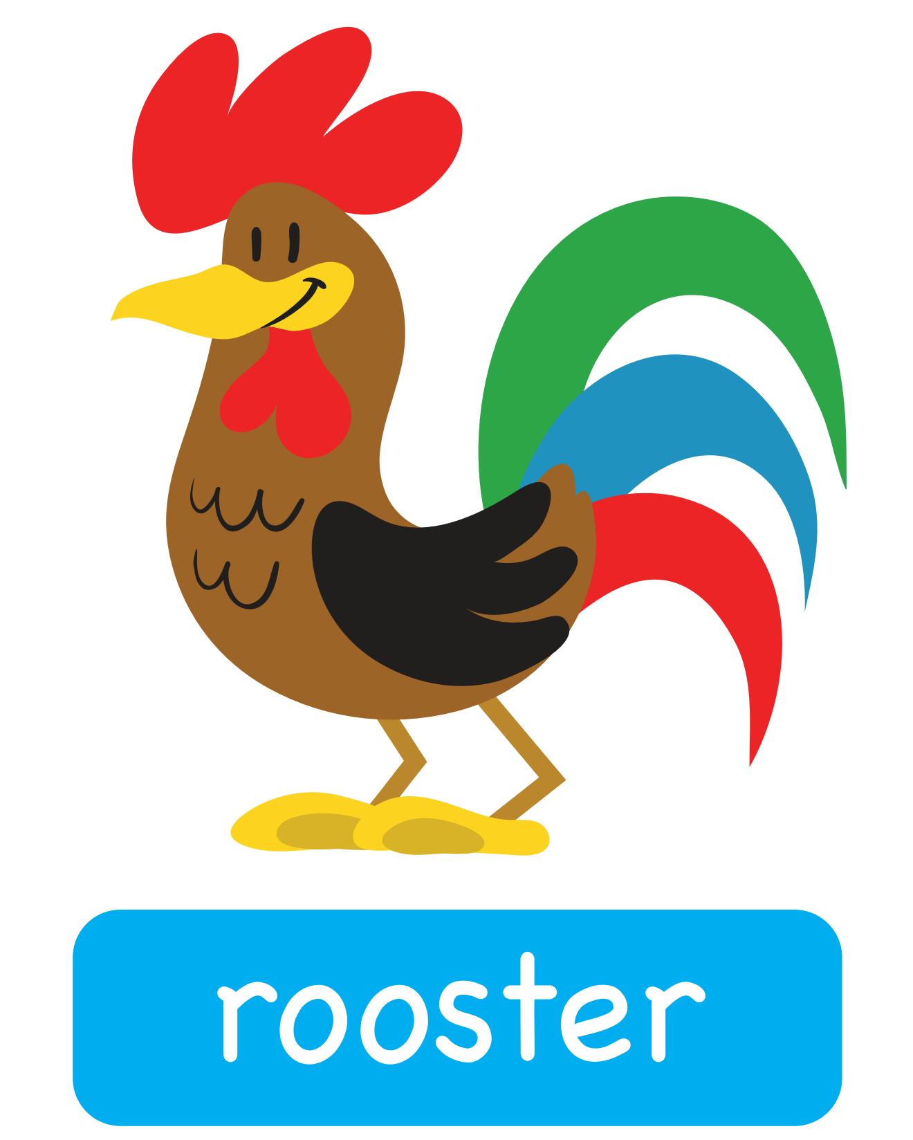 图说英语单词：高清动物类卡片，一图一单词