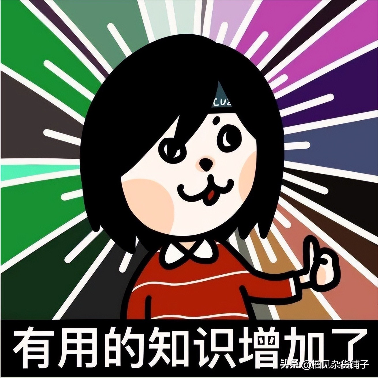 两开门的家用冰箱选哪一款最好,家用冰箱选直冷还是风冷好