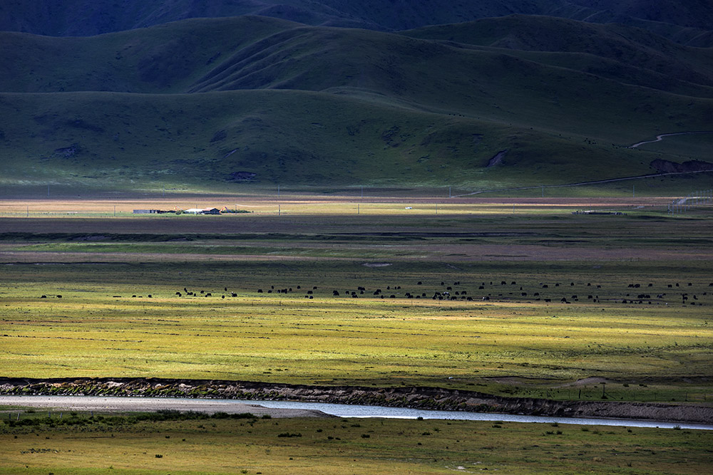 西部大草原旅游攻略,四川红原大草原自驾旅游攻略