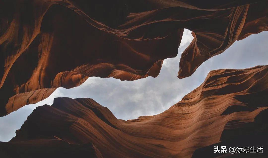 新高考作文素材书推荐,新高考议论文作文素材