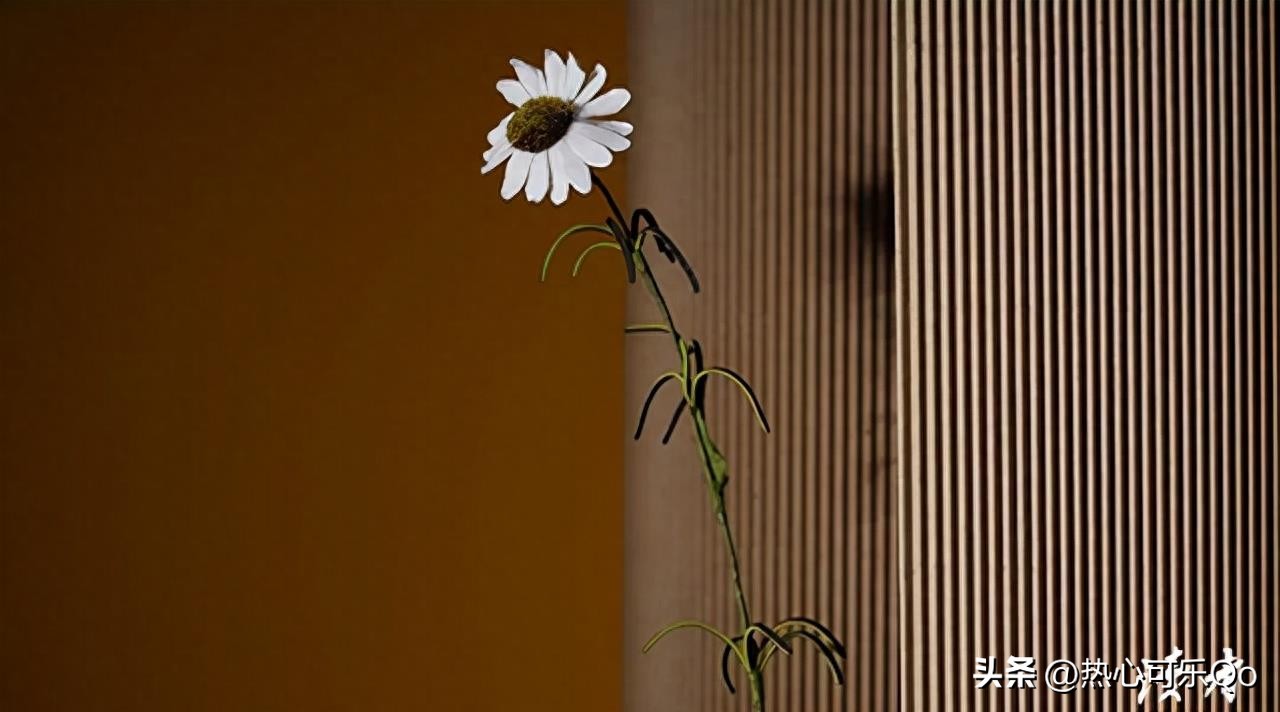 丈夫出轨妻子拔氧气管,丈夫出轨住院拔管