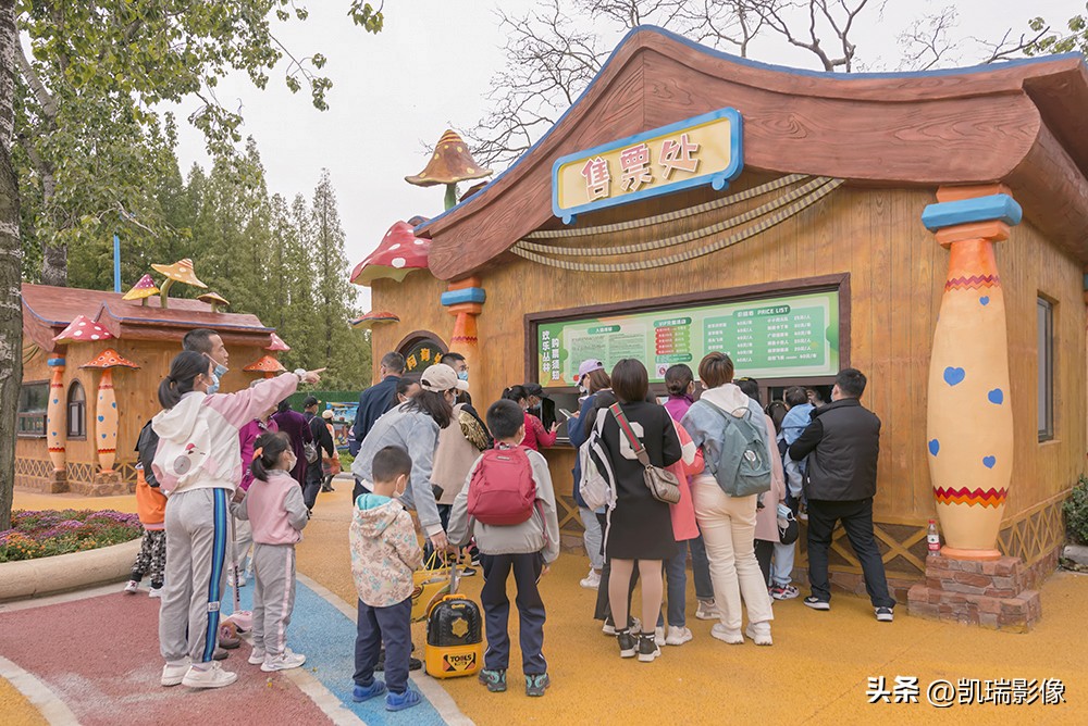 青岛中山公园游玩附近攻略,青岛中山公园游玩攻略