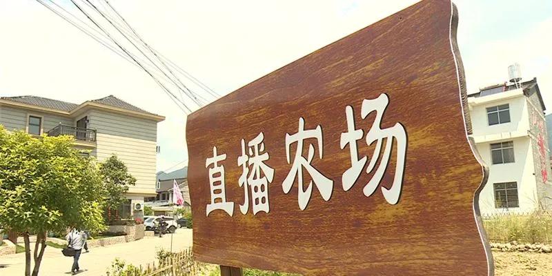 农村创业小项目推荐成本低简单,利润很吓人10个冷门创业项目农村