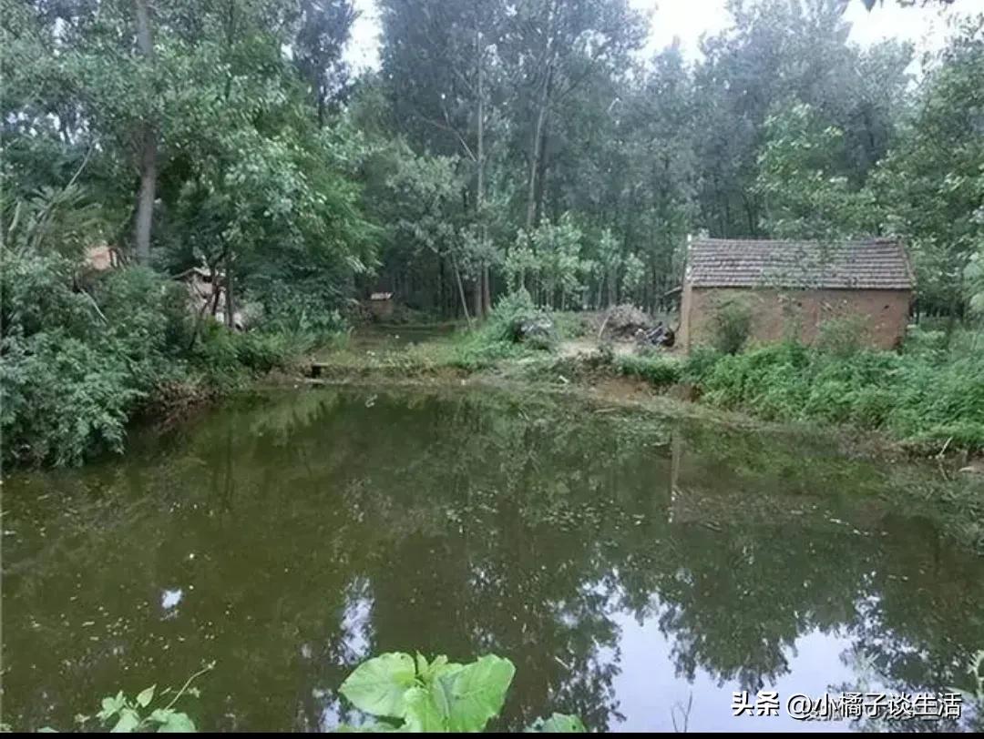 建房不怕门前坟成堆就怕屋后有坟,农村自建房顶落水口讲究