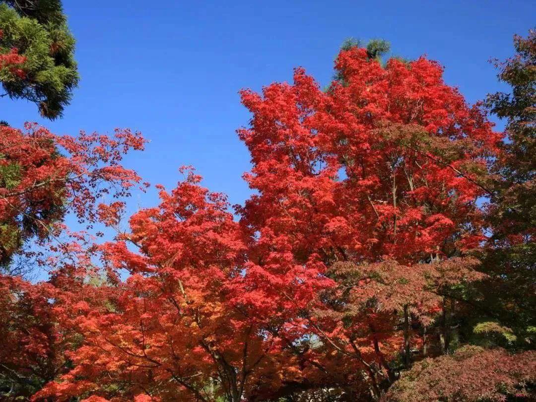 周口教育学院05年院长,周口教育学院简介