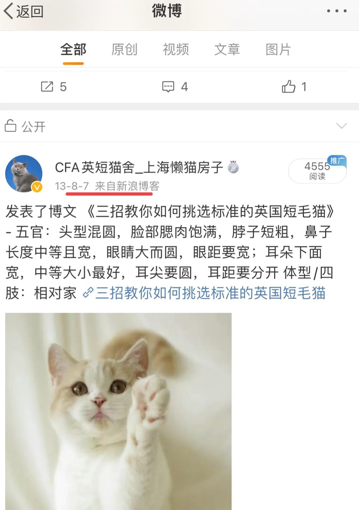 成都猫舍避坑,新手如何选择猫舍