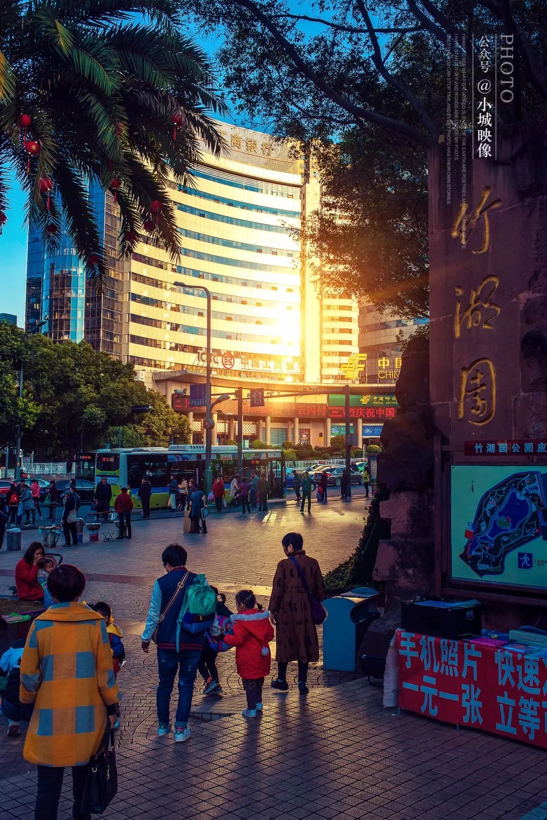 攀枝花是一种什么花,什么是攀枝花铁树