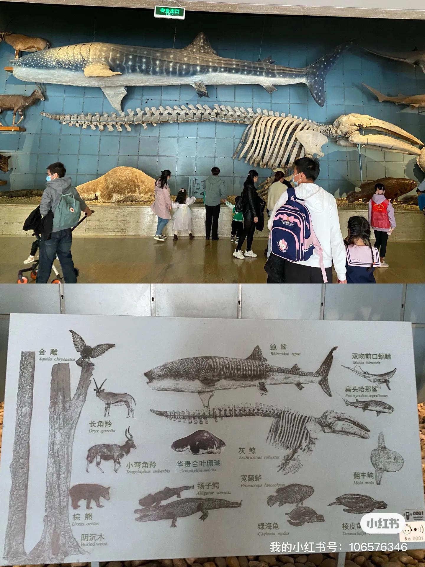 杭州博物馆与浙江博物馆哪个好,杭州博物馆和浙江博物馆