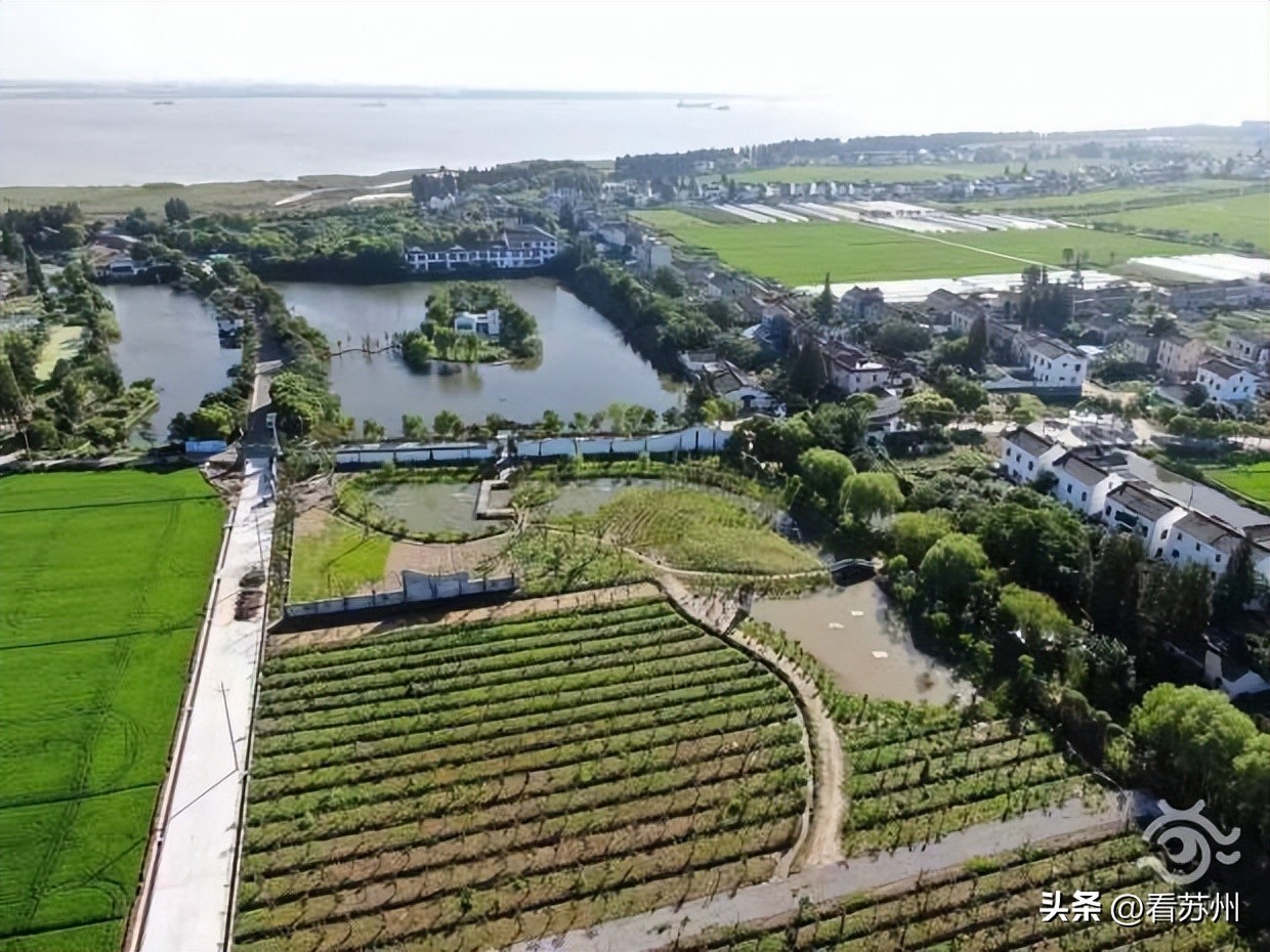 大美中国苏州篇|市域一体奔赴“十全十美”人间新天堂